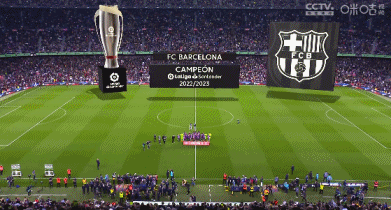 阿德莱德对阵墨尔本城大名单：纳杰多夫斯基缺席，古德温在列（阿德莱德战墨尔本城名单：纳杰多夫斯基缺阵，古德温入选）